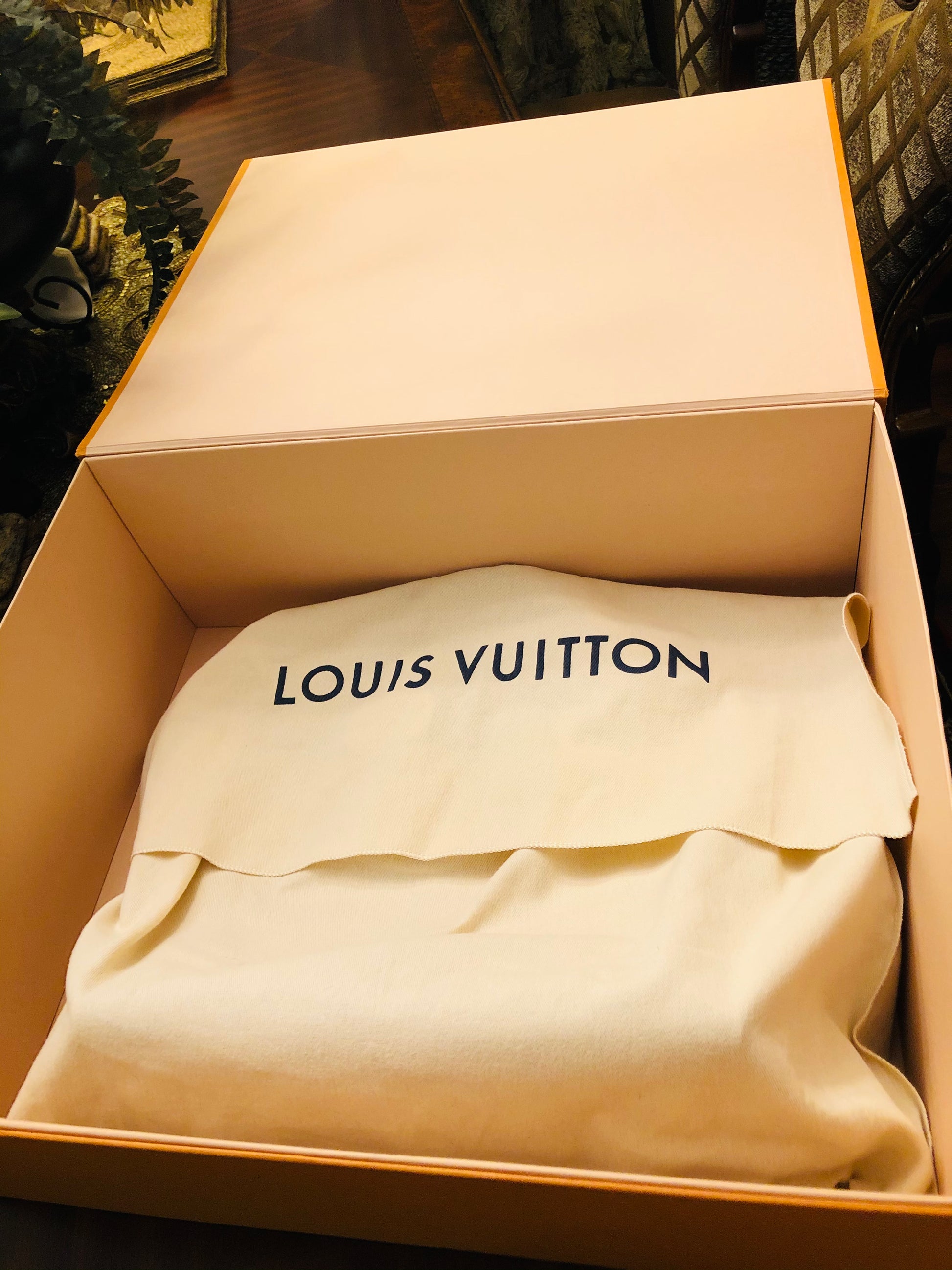 Louis Vuiton Milla MM Red - Luxury Chique